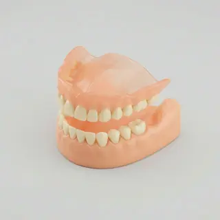 Uso dentadura